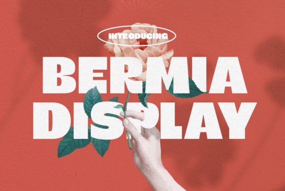 Bermia Display Font for Handmade Branding